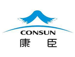 康臣药业集团定制卡通形象PVCu盘礼品