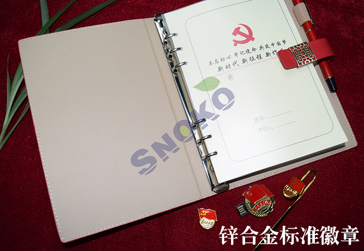 u盘定制厂家 \